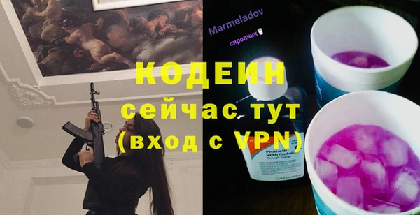 молекула духа Осинники