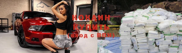 молекула духа Осинники