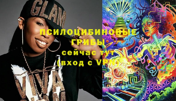 молекула духа Осинники