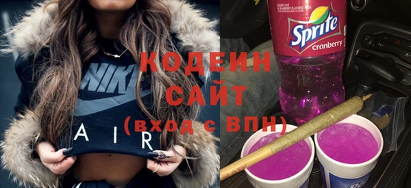 молекула духа Осинники