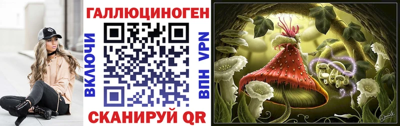 MEGA рабочий сайт  Суздаль  Галлюциногенные грибы GOLDEN TEACHER 